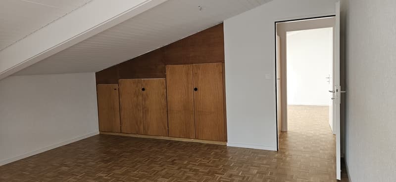 Appartement spacieux rénové cuisine neuve. Avec conciergerie (12)