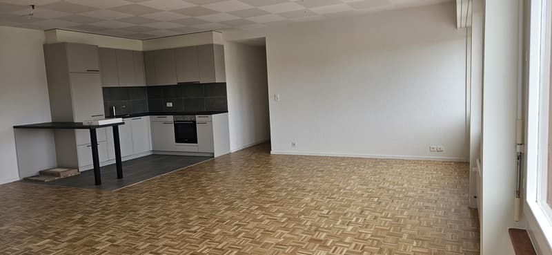 Appartement spacieux rénové cuisine neuve. Avec conciergerie (2)