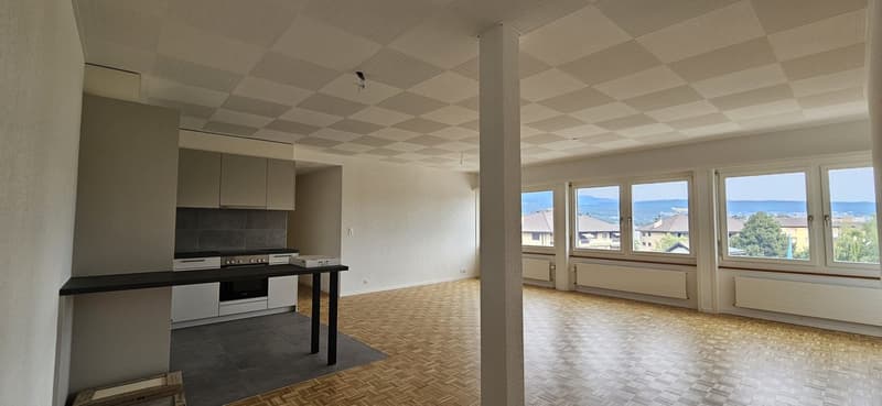 Appartement spacieux rénové cuisine neuve. Avec conciergerie (1)