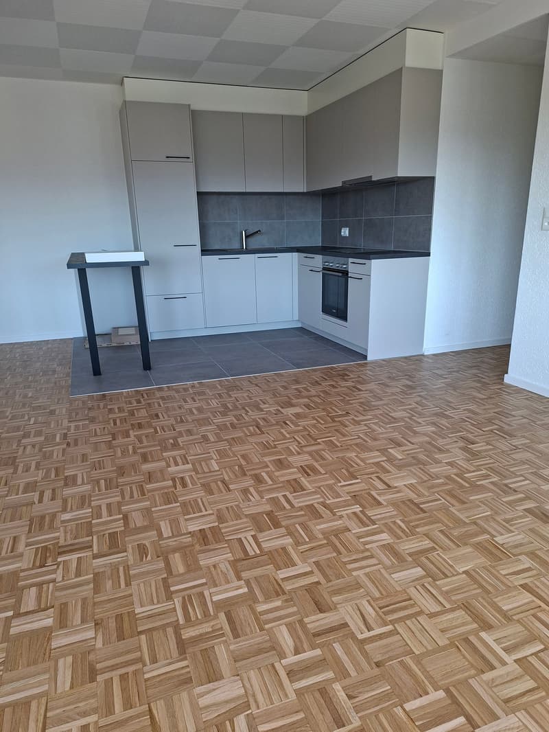 Geräumiges renoviertes Apartment mit neuer Küche. Mit Conciergeservice (1)