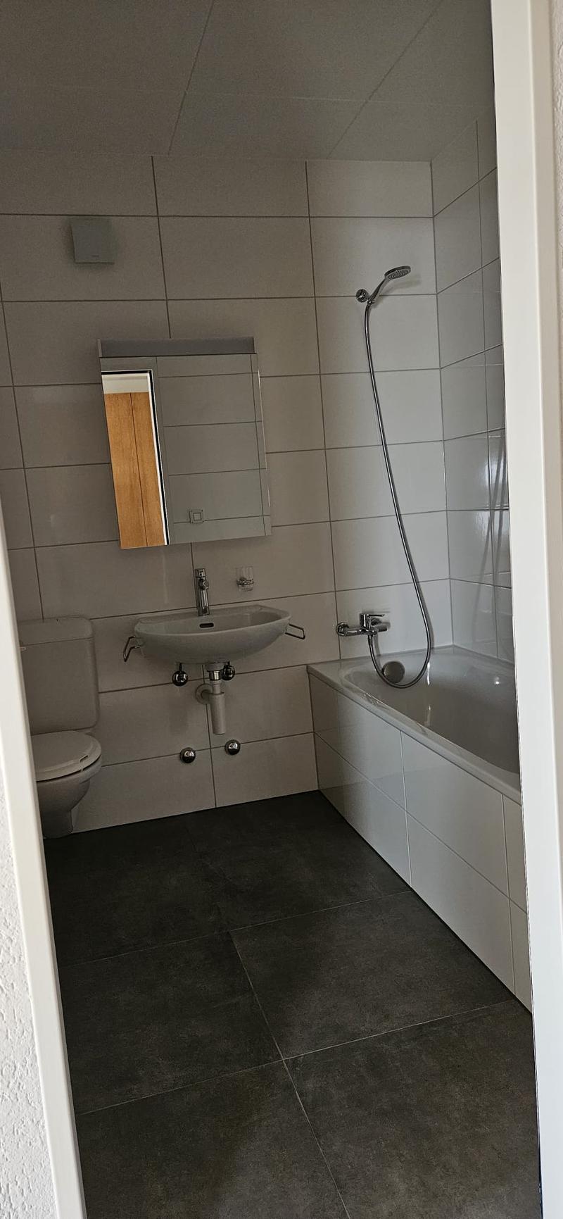 Appartement spacieux rénové cuisine neuve. Avec conciergerie (13)