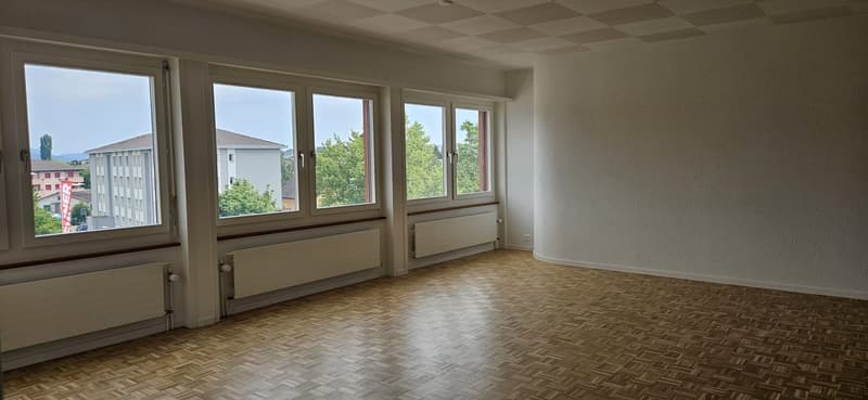 Appartement spacieux rénové cuisine neuve. Avec conciergerie (3)