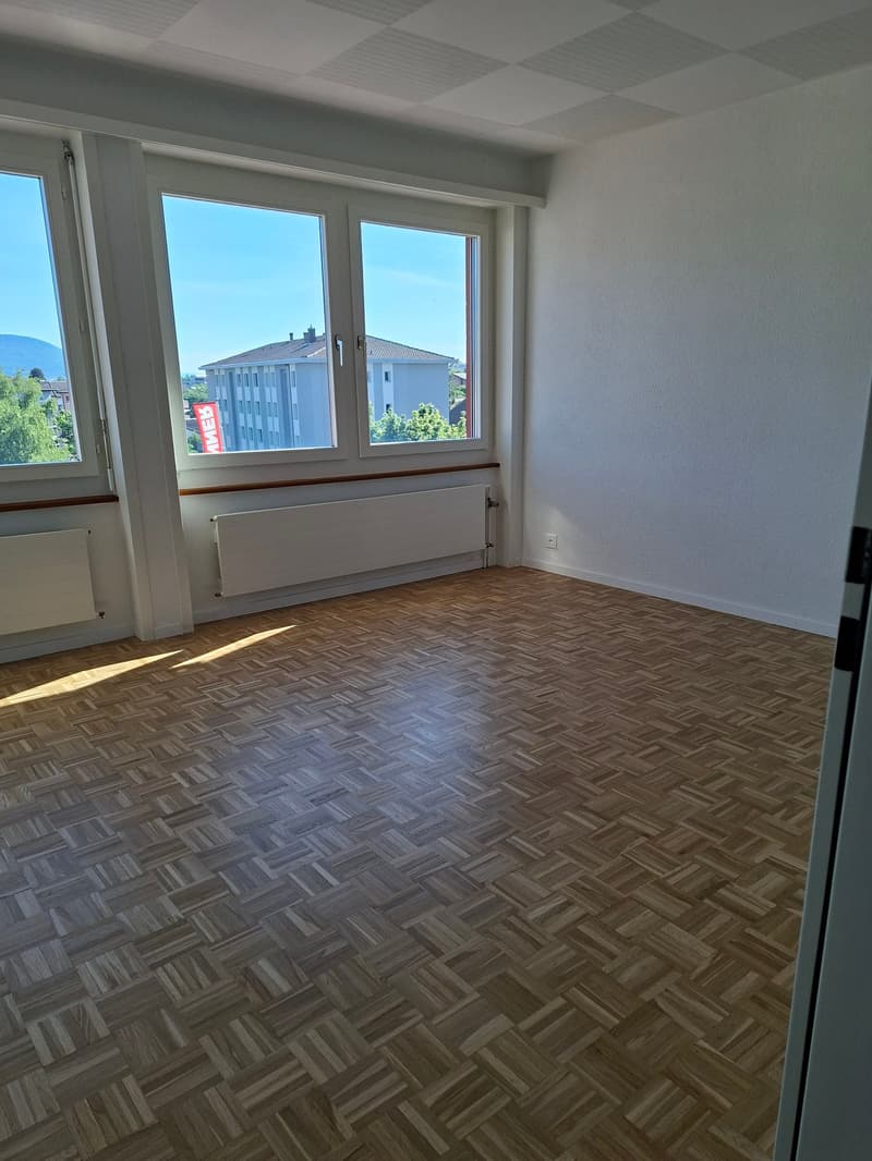Geräumiges renoviertes Apartment mit neuer Küche. Mit Conciergeservice (2)