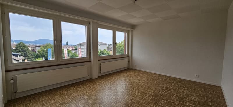Appartement spacieux rénové cuisine neuve. Avec conciergerie (9)