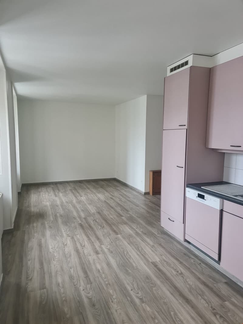 Three-room apartment CHF 1'010.- CC (1)