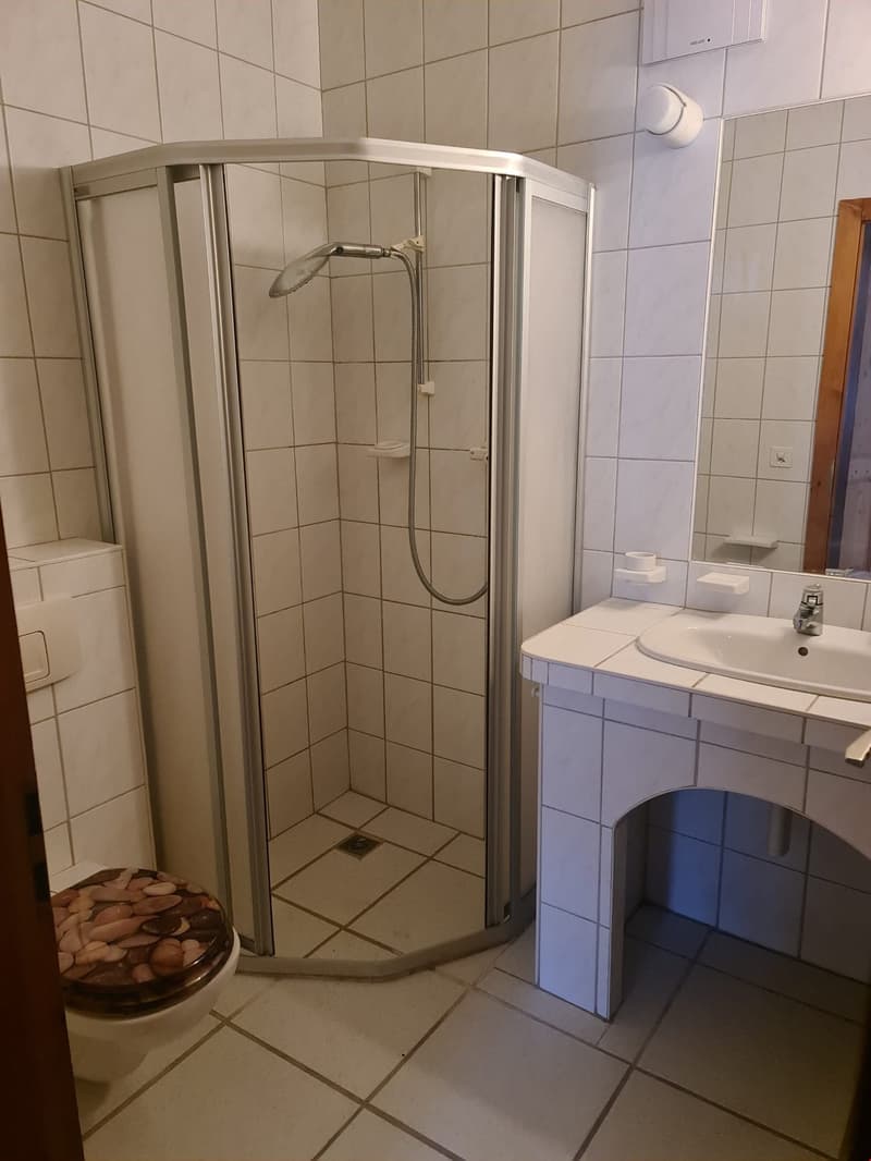 Three-room apartment CHF 1'010.- CC (5)