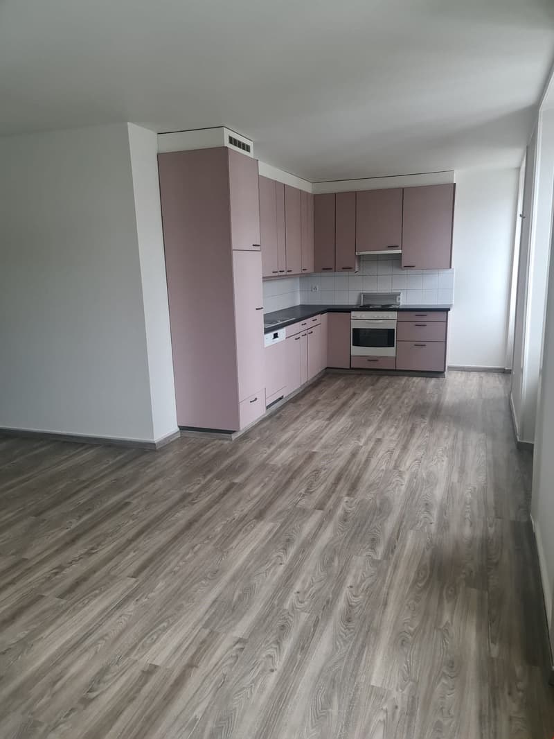 Three-room apartment CHF 1'010.- CC (3)