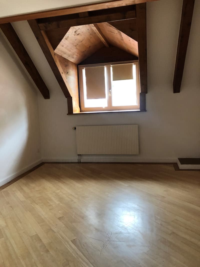 Charming 3.5-room duplex close to all amenities (3)