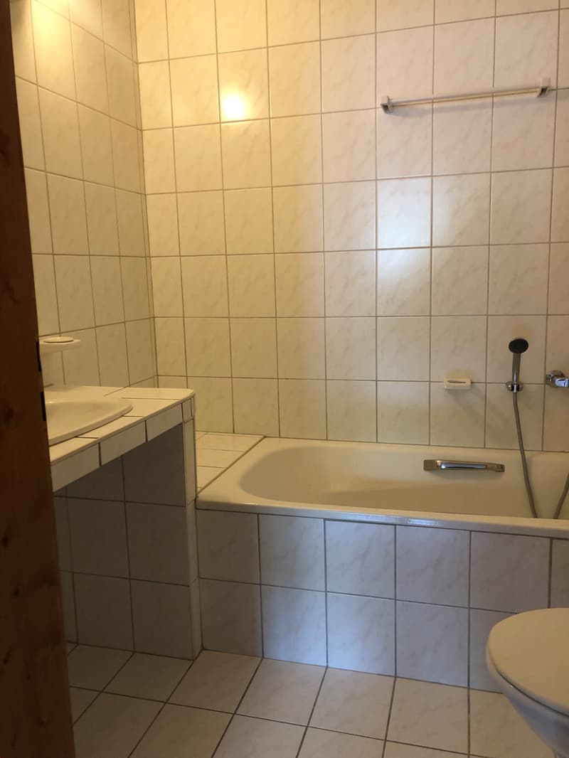 Charming 3.5-room duplex close to all amenities (4)