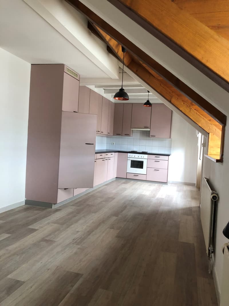 Charming 3.5-room duplex close to all amenities (6)