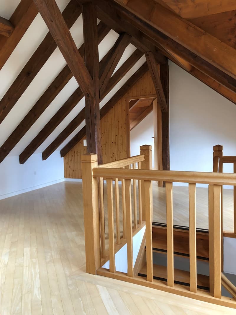 Charming 3.5-room duplex close to all amenities (9)