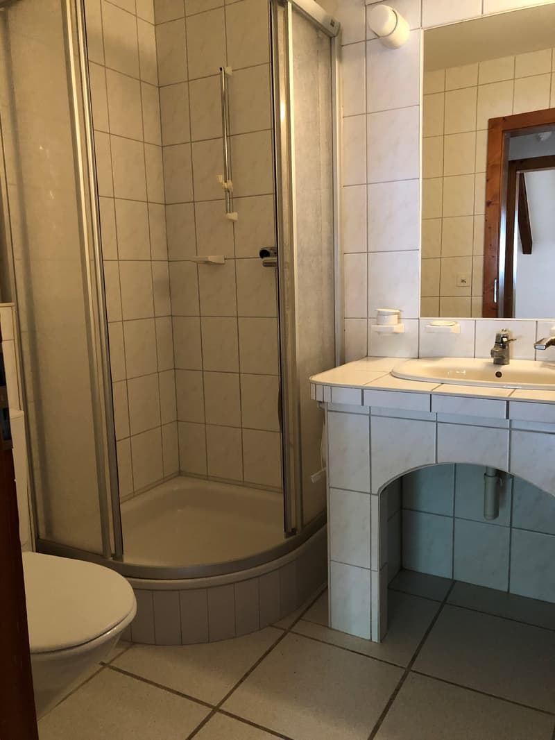 Charming 3.5-room duplex close to all amenities (7)