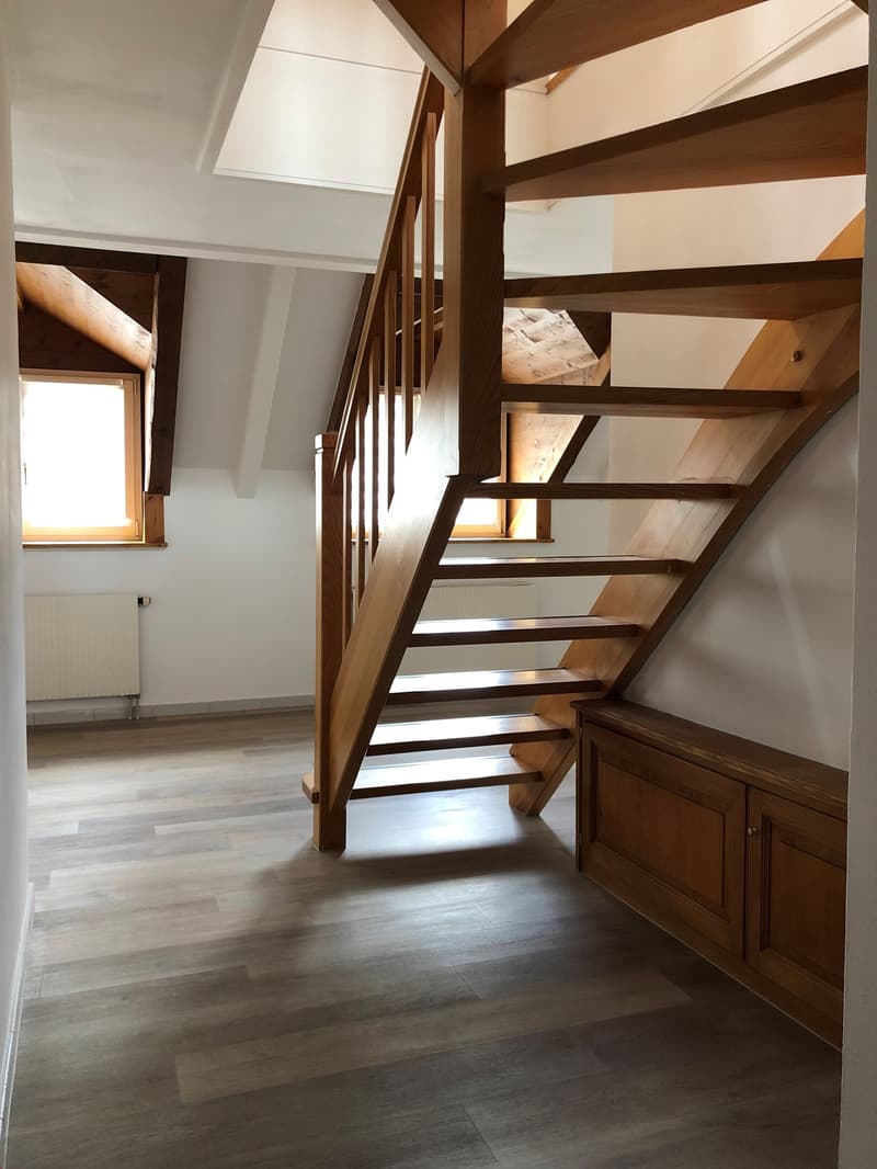 Charming 3.5-room duplex close to all amenities (1)