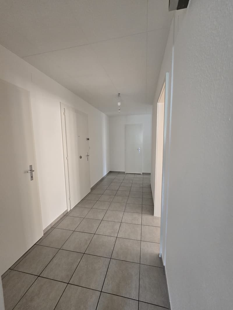 Spacieux 5 pièces avec cachet au cœur de La Chaux-de-Fonds (11)