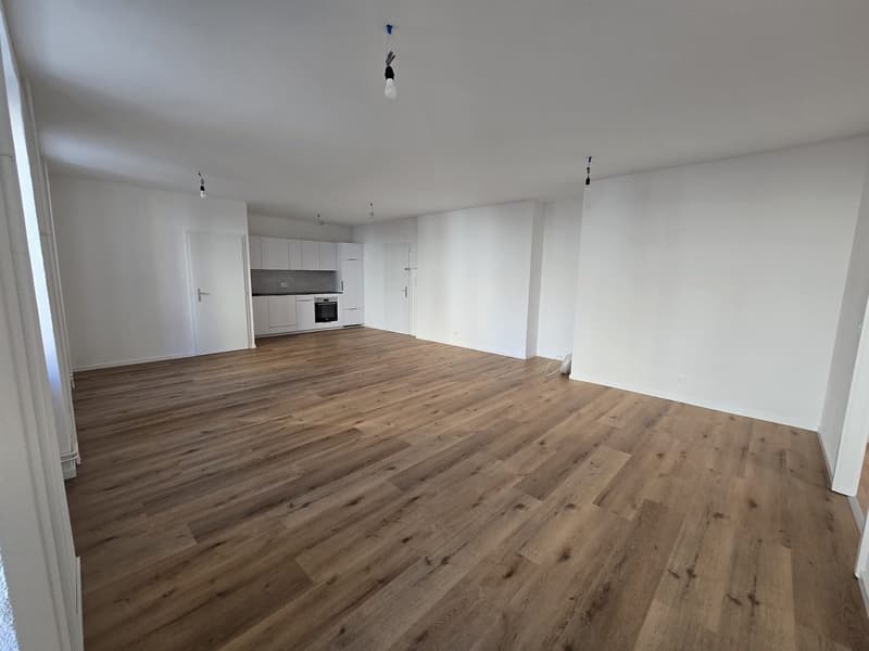 Appartement de 3 pièces lumineux à louer à La Chaux-de-Fonds (1)
