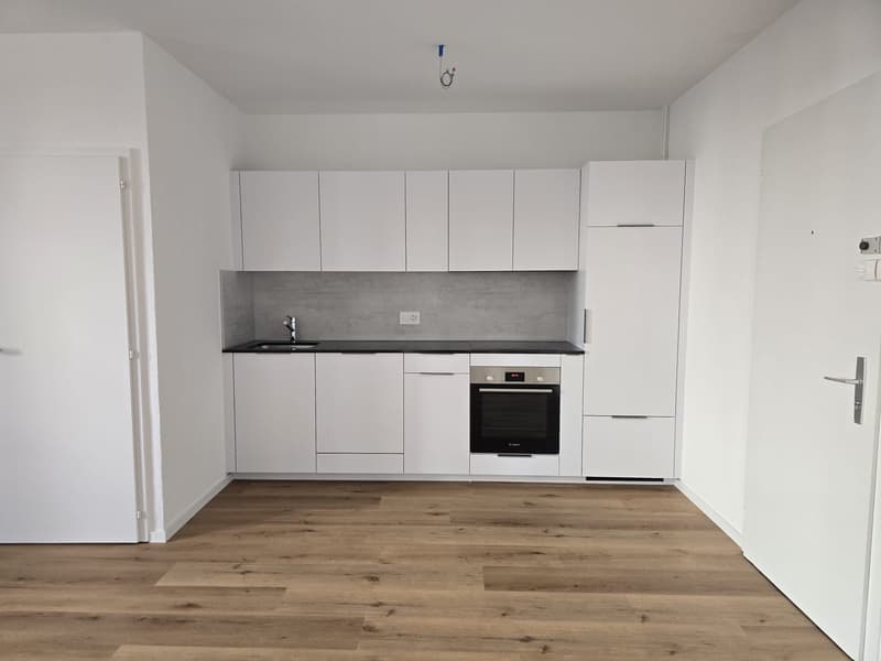 Appartement de 3 pièces lumineux à louer à La Chaux-de-Fonds (3)