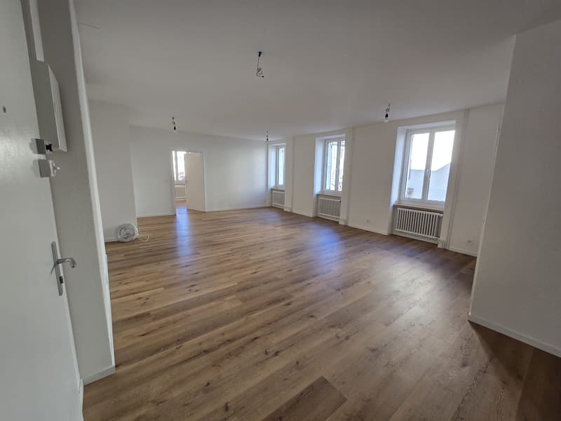 Appartement de 3 pièces lumineux à louer à La Chaux-de-Fonds (2)
