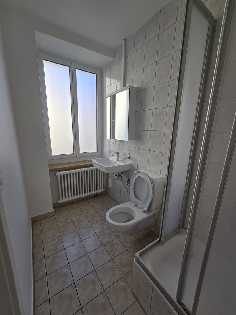 Appartement de 3 pièces lumineux à louer à La Chaux-de-Fonds (6)