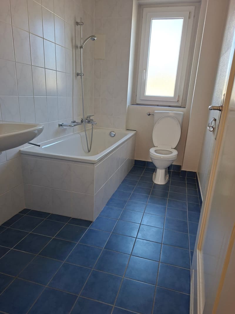 Appartement 3 pièces lumineux au Locle (2)