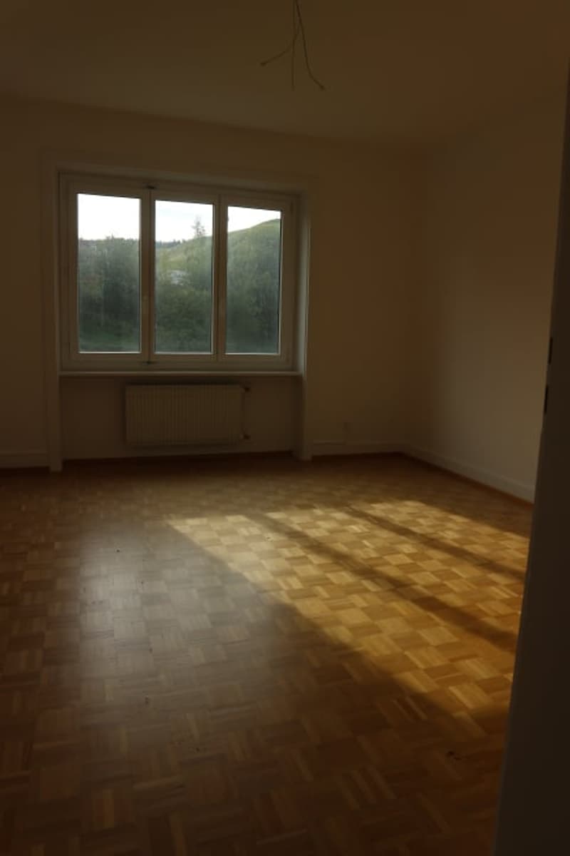 Bel appartement de 4 pièces au Locle (4)