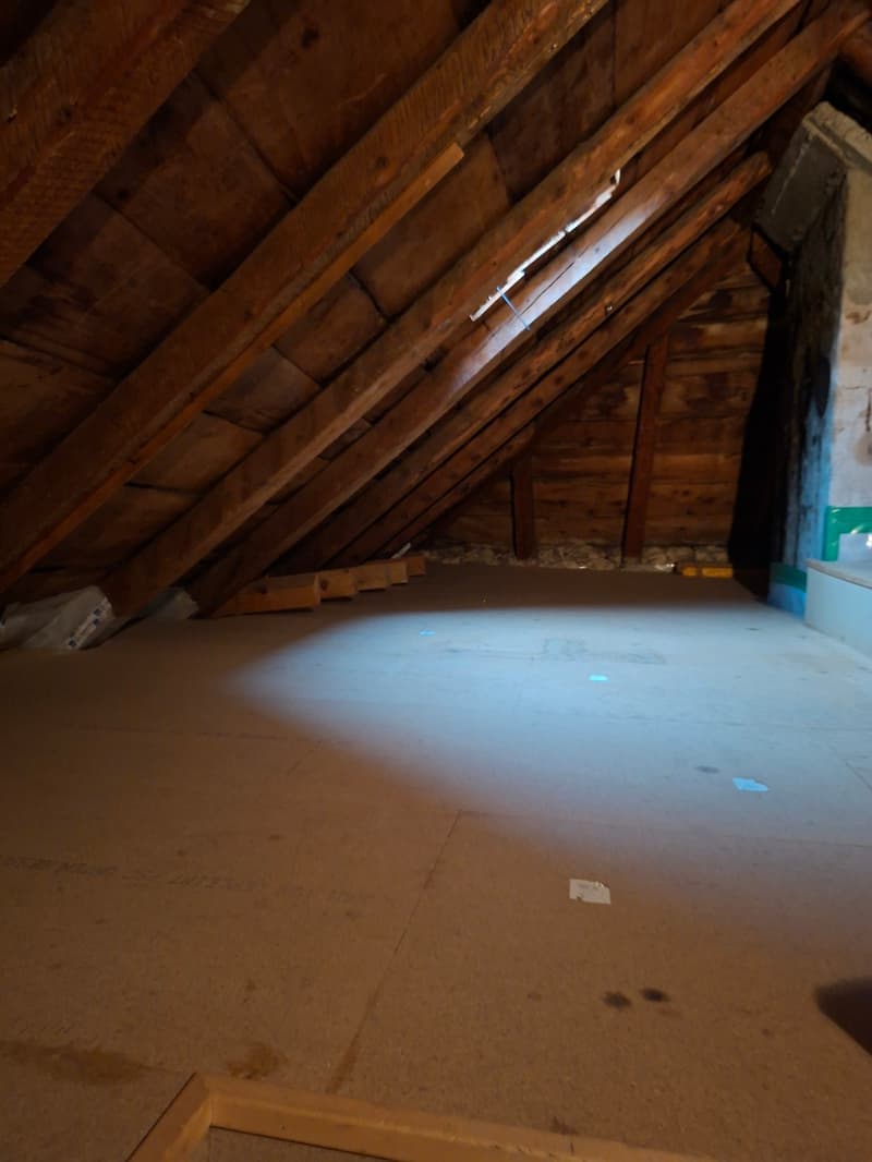 Spacieuse maison de 9 pièces à louer à La Chaux-de-Fonds (24)