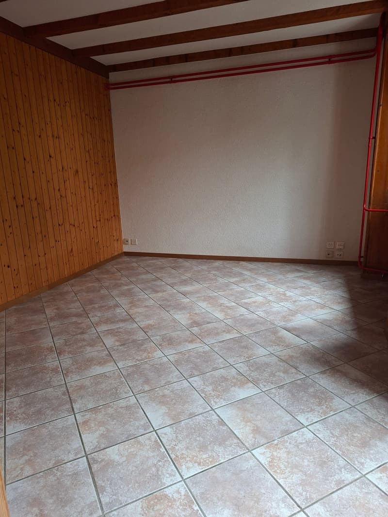 Spacieuse maison de 9 pièces à louer à La Chaux-de-Fonds (5)