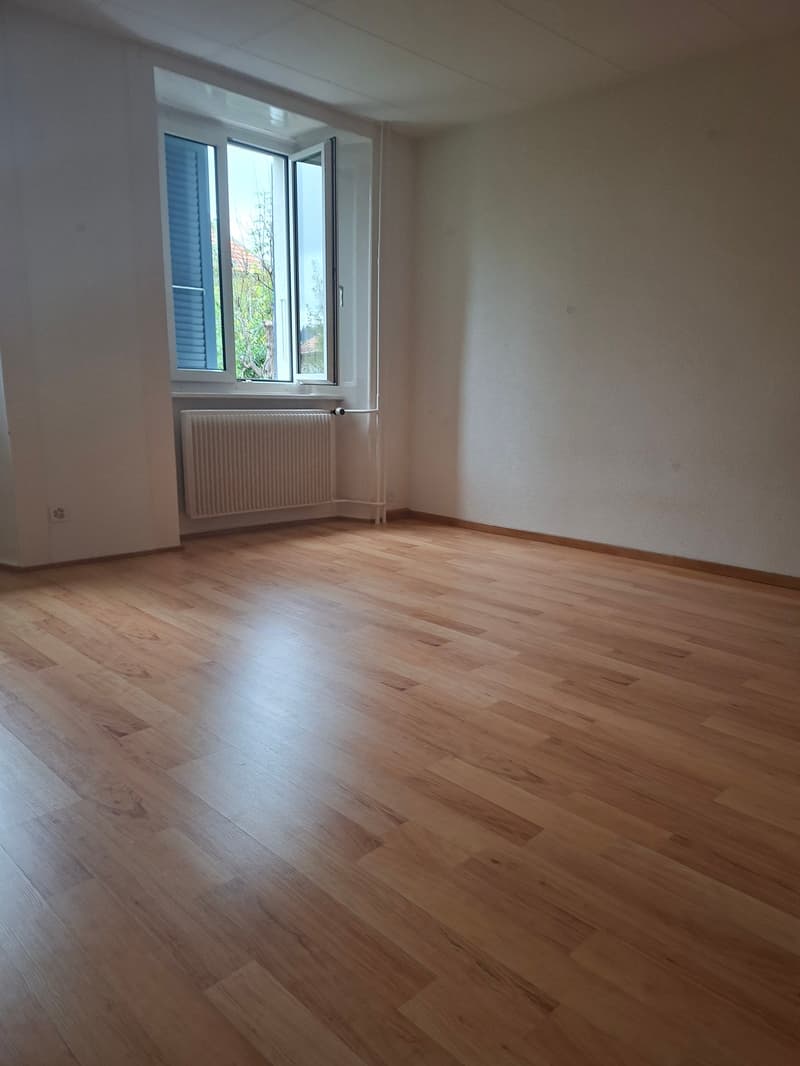 Spacieuse maison de 9 pièces à louer à La Chaux-de-Fonds (10)