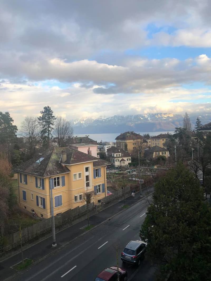 Zu vermieten - 4,5-Zimmer-Wohnung, 84m2 - Av. Victor-Ruffy 31 - 1012 Lausanne (1)