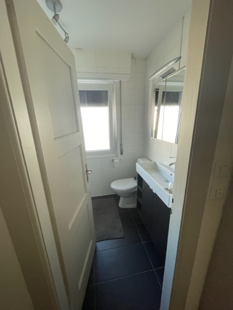 A louer - Chambre dans une colocation d'étudiants - Lac 26B - Renens (9)