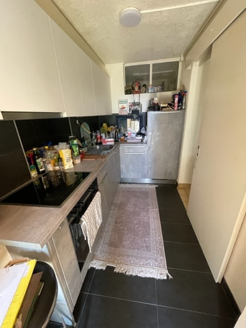 Logement de 2 pièces dans le quartier de Chailly - 35 m2 + terrasse (2)