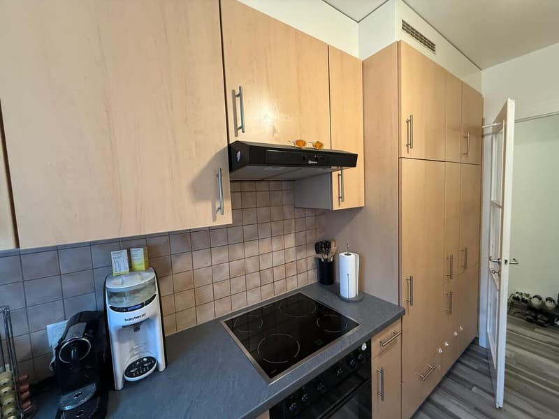 A louer - Appt. de 4.5 p - 84 m2 - Av. Victor-Ruffy 31 - 1012 Lausanne (12)