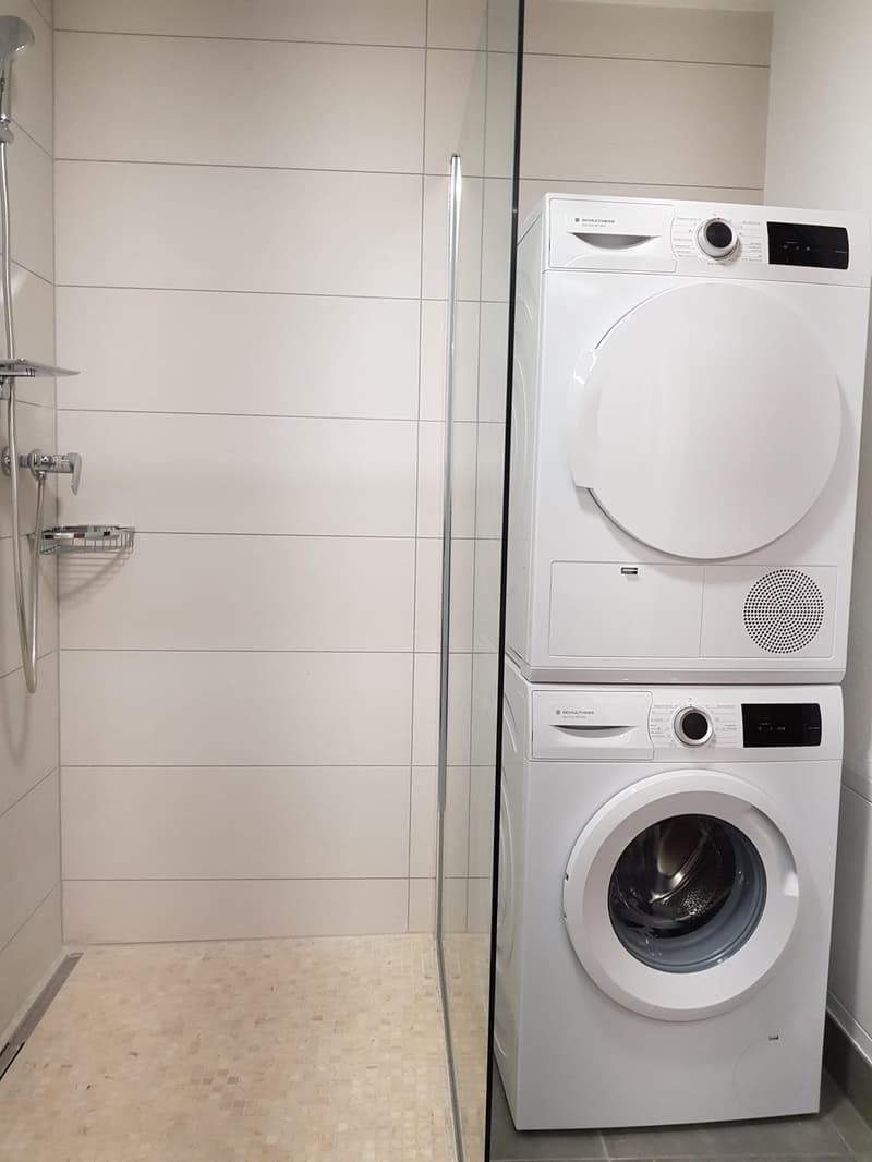 Takeover of the lease for a nice 2.5-room apartment (7)