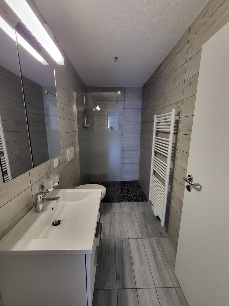 Rental building with 5 apartments near the train station (8)
