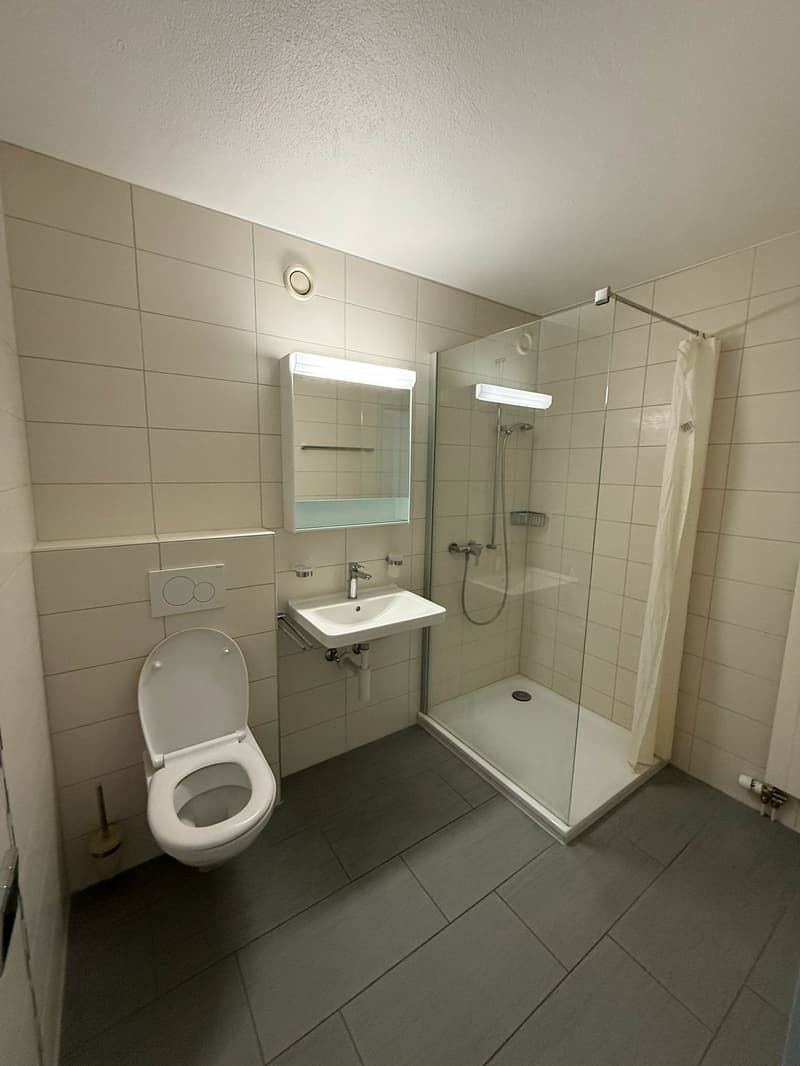 modern bathroom with white tiles, glass shower, white sink, white toilet, mirror