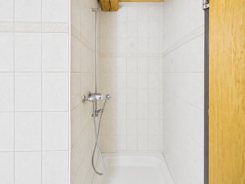Schönes 4.5-Zimmer-Apartment in Courtételle (10)