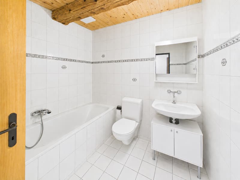 Schönes 4.5-Zimmer-Apartment in Courtételle (8)