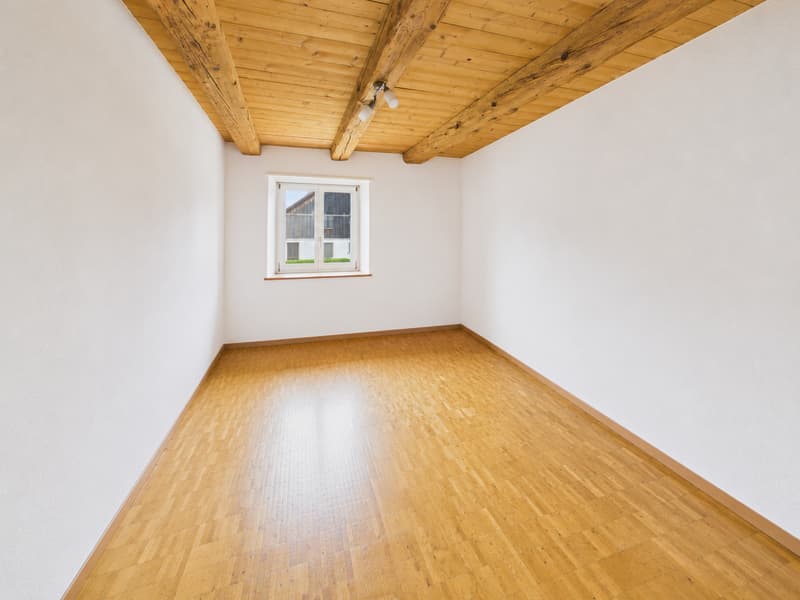 Schönes 4.5-Zimmer-Apartment in Courtételle (5)