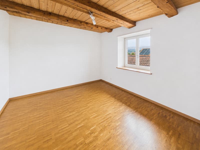 Schönes 4.5-Zimmer-Apartment in Courtételle (6)