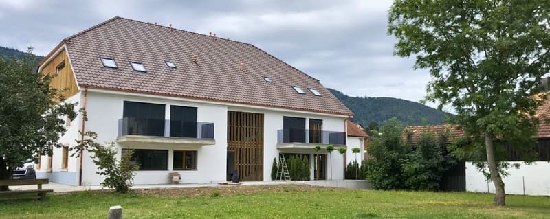 Rental Yield Building "Turnkey" (2019) – 100% Let – Courfaivre Centre (1)