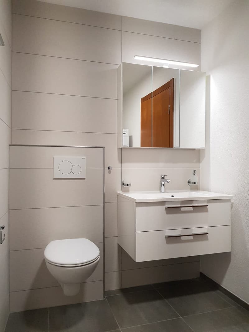 Rental Yield Building "Turnkey" (2019) – 100% Let – Courfaivre Centre (11)