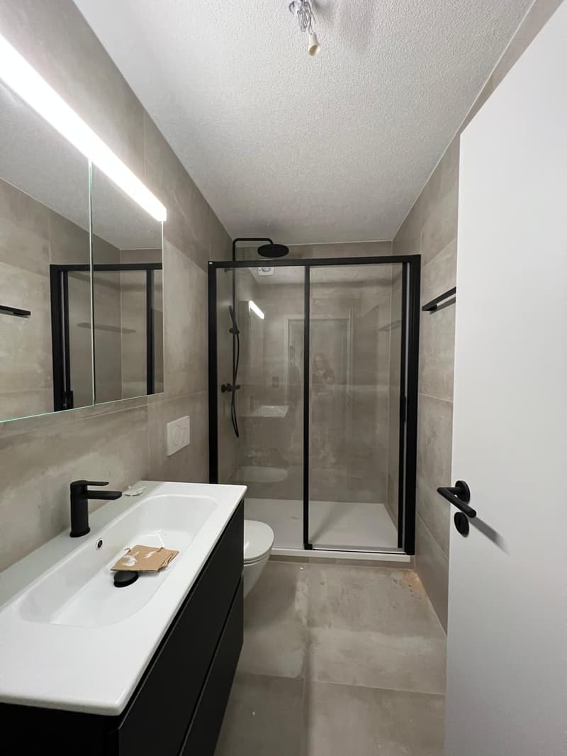 Letztes 2.5-Zimmer-Appartement im Zentrum der Stadt, komplett renoviert (3)