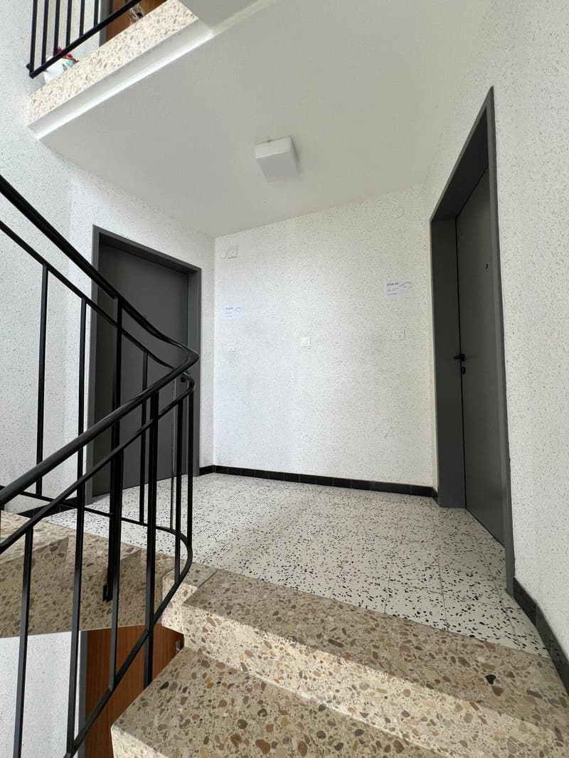 Ultimo appartamento di 4.5 locali in residenza completamente ristrutturata (3)