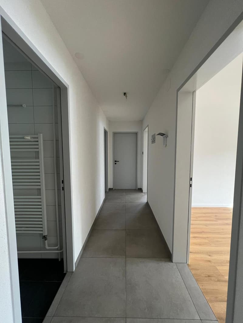 Ultimo appartamento di 4.5 locali in residenza completamente ristrutturata (6)