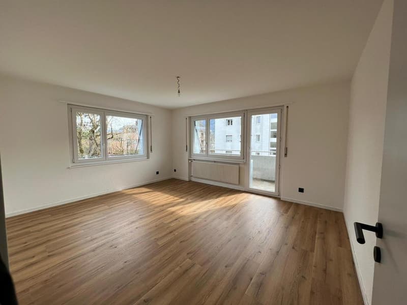 Ultimo appartamento di 4.5 locali in residenza completamente ristrutturata (2)