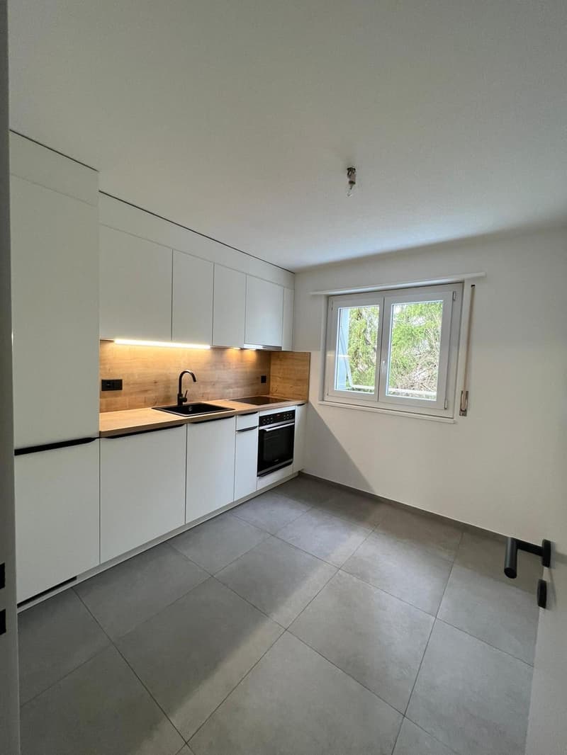 Ultimo appartamento di 4.5 locali in residenza completamente ristrutturata (1)