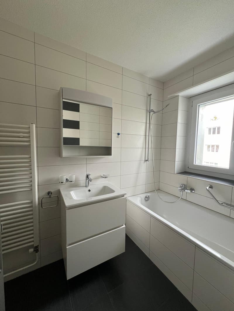 Ultimo appartamento di 4.5 locali in residenza completamente ristrutturata (4)