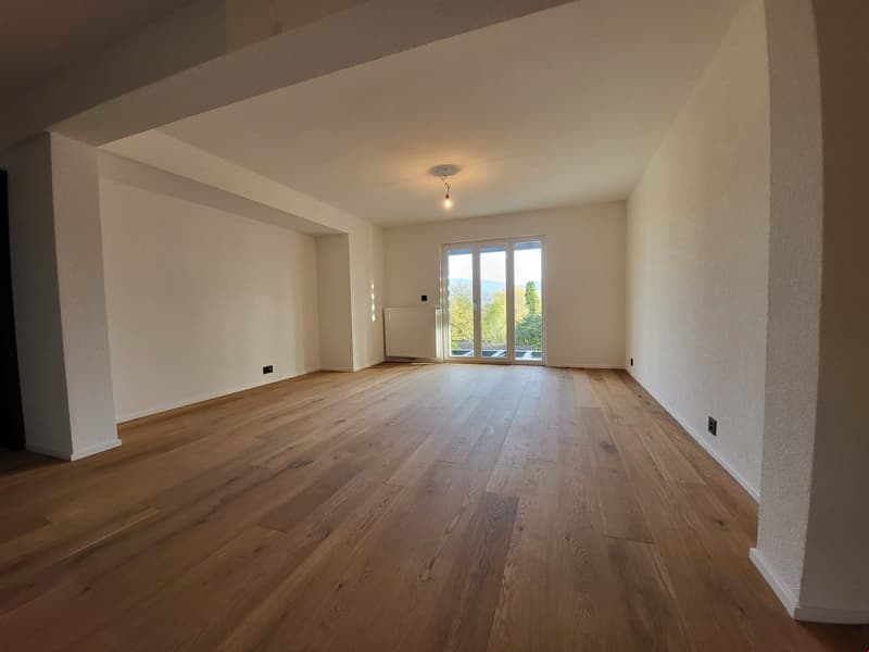 Meraviglioso appartamento di 3.5 locali completamente ristrutturato a Delémont (3)