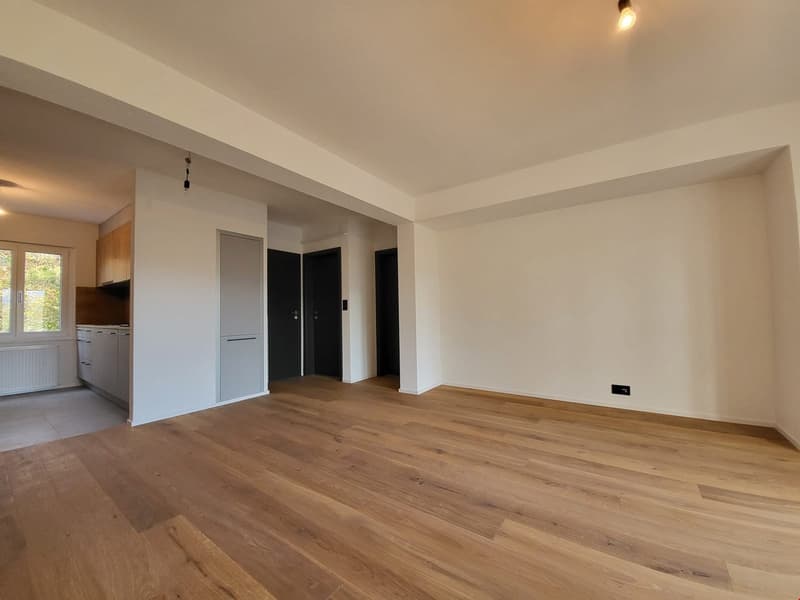 Meraviglioso appartamento di 3.5 locali completamente ristrutturato a Delémont (7)