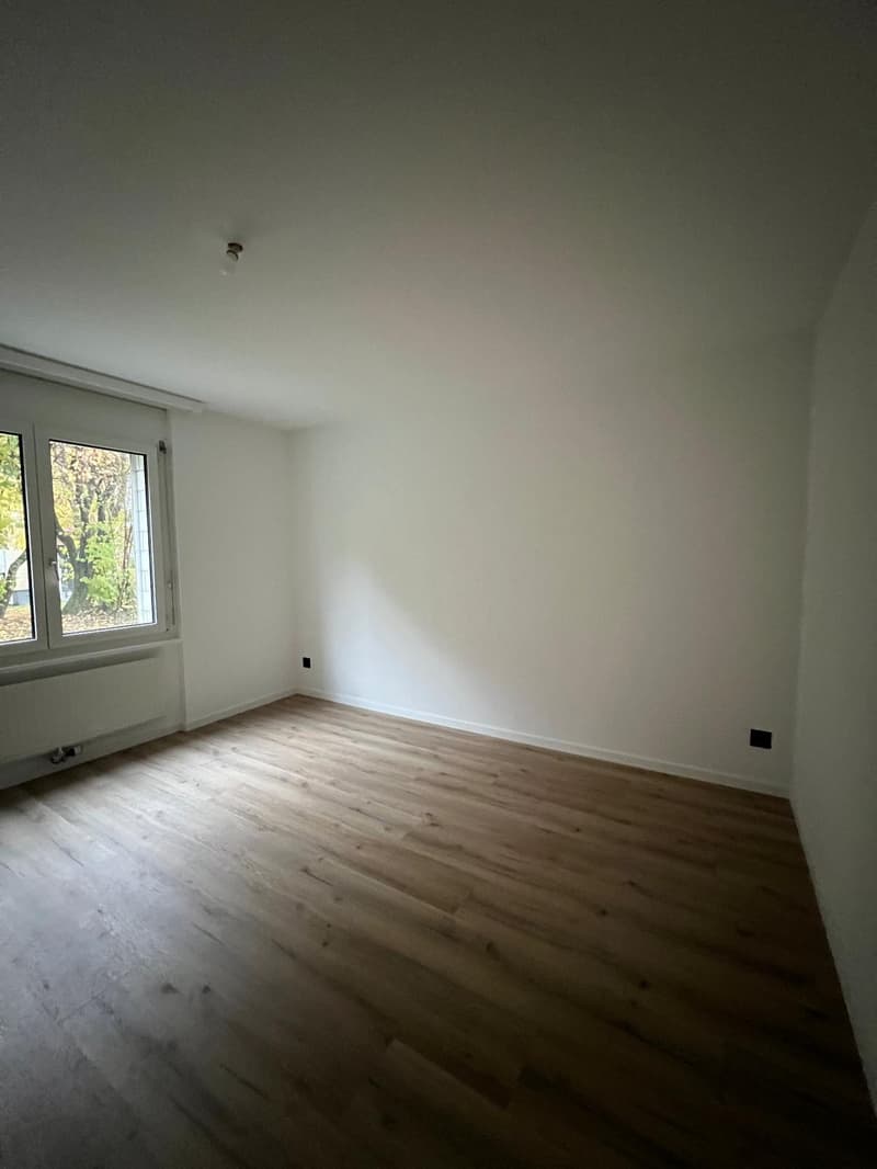Charmantes renoviertes 2.5-Zimmer-Apartment (2)