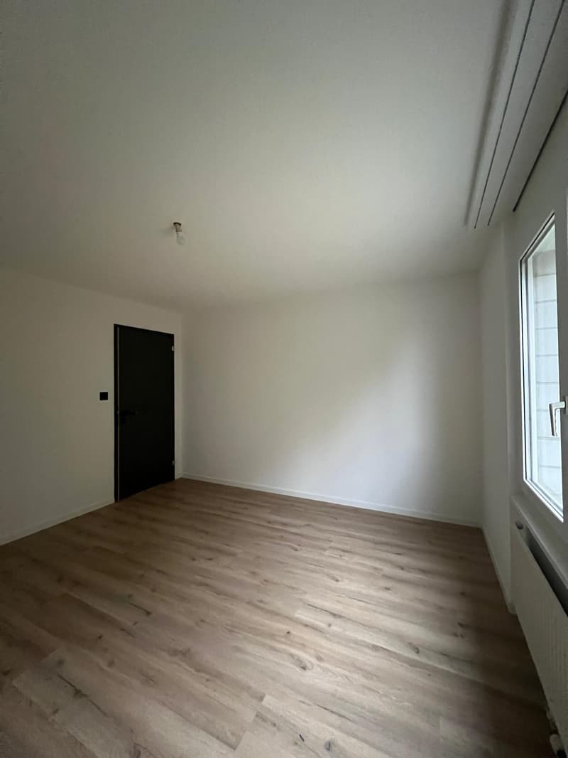 Charmantes renoviertes 2.5-Zimmer-Apartment (3)